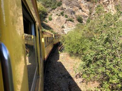 Train jaune